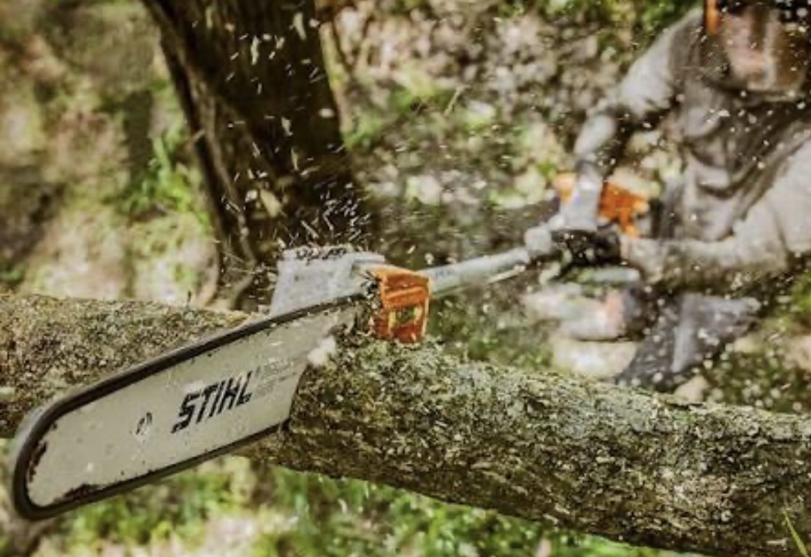 Professional Tree Care