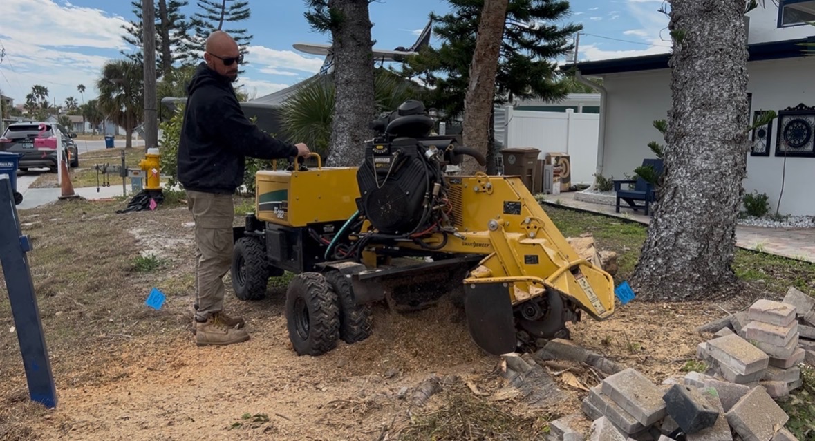 Stump Grinding